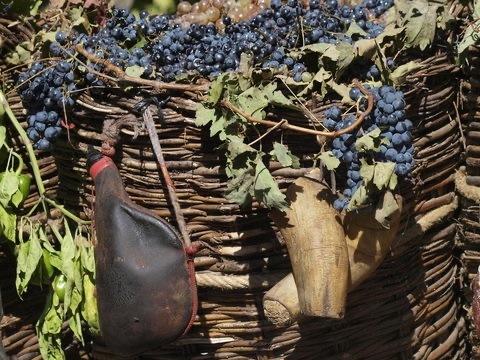 Weintrauben im Korb