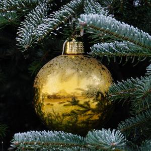 Weihnachtskugel zwischen Tannenzweigen