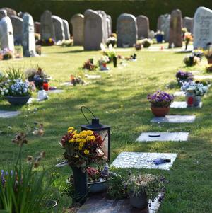 Rasengräber auf dem neuen Friedhof Schortens