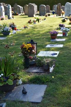 Rasengräber auf dem Friedhof Plaggestraße in Schortens