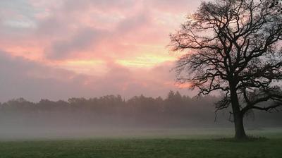 Sonnenaufgang über Wiesen